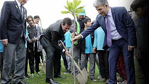 Şehitler için manolya fidanı 