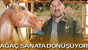 Ağaç gövdesi sanata dönüşüyor