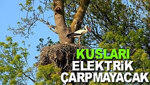 Artık deltada kuşları elektrik çarpmayacak