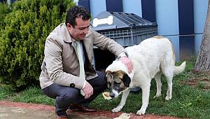 Atakum'da şefkat eli