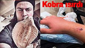 Aref'i kobra ısırdı panzehiri Türkiye'de yok 