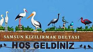 Delta araç trafiğine kapandı 