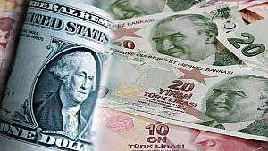 Dövize karşı Türk lirası hamlesi 