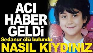 Kayıp Sedanur cinayet sonrası üzeri taşla örtülmüş bulundu 