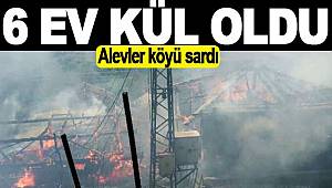 Mahalleyi alevler sardı, 6 konut yandı