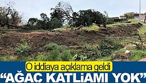 Ağaç katliamı yok