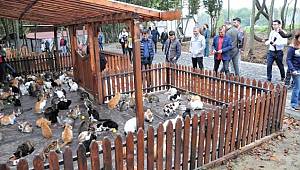 Hayvan barınağına ziyaret