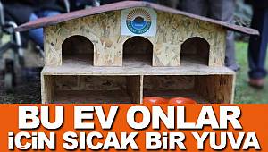 Onlar için 200 ev inşaa edildi