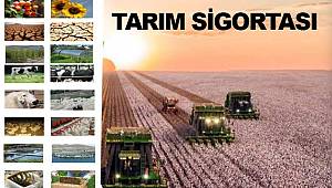 Tarım sigortası çiftçinin kurtarıcısı 