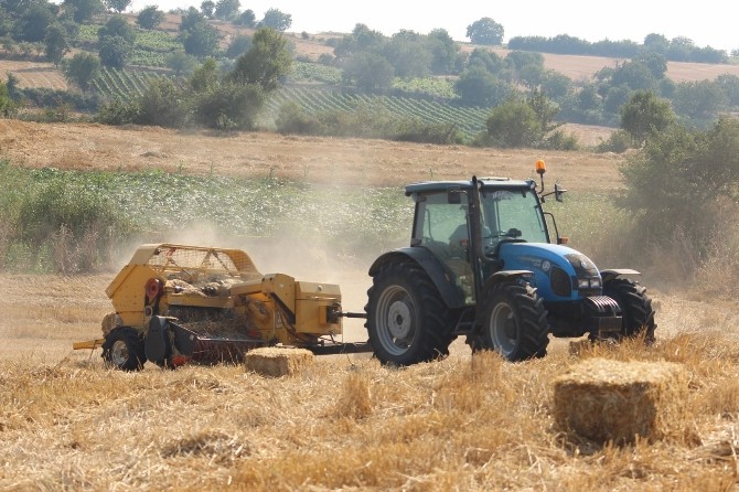 40 Derece Sıcakta Gençlerin Ekmek Mücadelesi