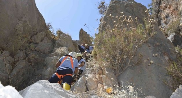 6 Gün Boyunca Aç Susuz Kalan Oğlaklar Kurtarıldı