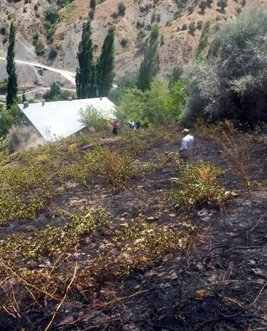 Adıyaman’da 2 Dönüm Bağ Yandı