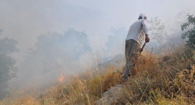 Anız Yangını Meyvelik Alana Zarar Vermeden Söndürüldü