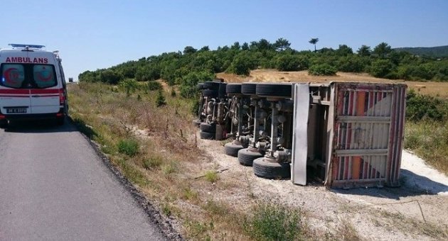 Arıyı Kovalarken Kullandığı Tır’ı Devirdi