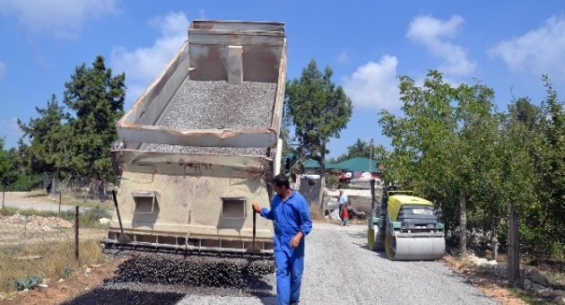 Avgadı Yaylası’nın Yolları Asfaltlanıyor