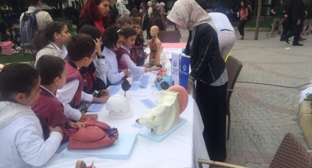 Avrupa Bilim Ve Eğlence Gününe Kocaeli’de Katıldı