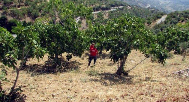 Aydın’da 5 Gündür Aranan Yaşlı Kadın Ölü Olarak Bulundu