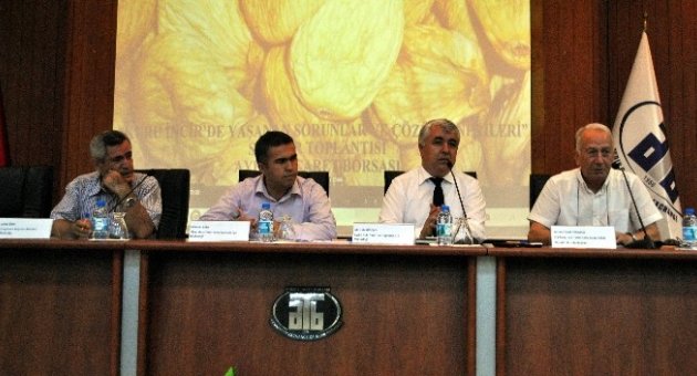 Aydın Ticaret Borsası Kuru İnciri Masaya Yatırdı