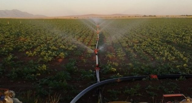 Aydınlı Yatırımcıların 4 Sulama Projesine 87 Bin Lira Destek
