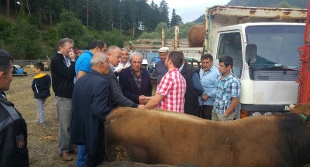 Azdavay’da Kurban Pazarı Açıldı