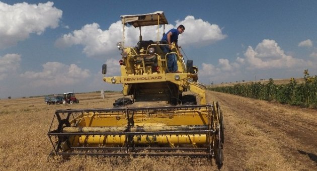 Beyşehir’de Nohut Üretimi Arttı