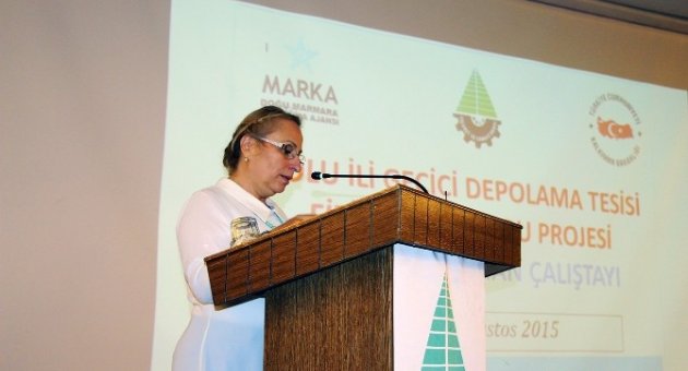 Bolu’da Geçici Depolama Tesisi Çalıştayı Yapıldı