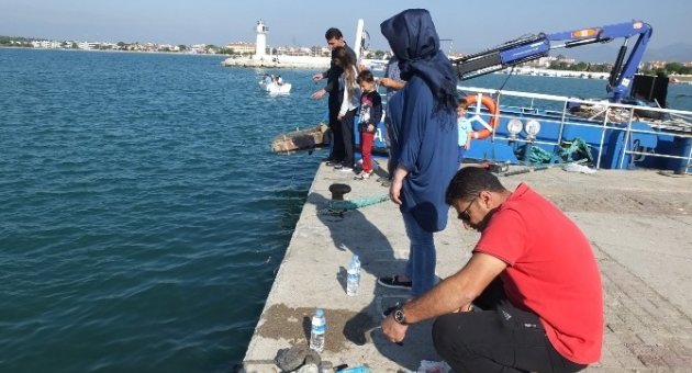 Burhaniye’de Yat Limanı Amatörlerin Mekanı Oldu