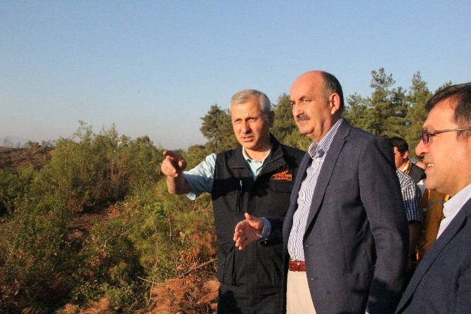 Bursa’daki Orman Yangını Tamamen Söndürüldü