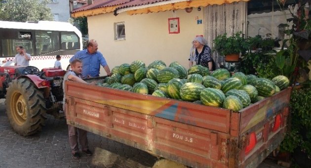 Bütün Köy Bedava Karpuza Doydu