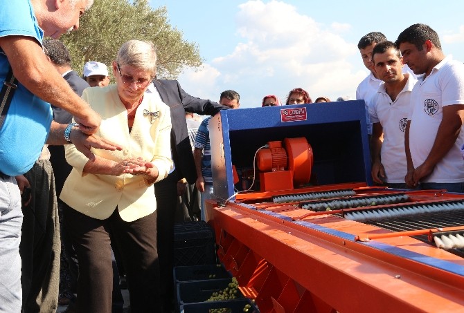 Canan Karatay: “Amerika 2025 Yılını Kıtlık Yılı Olarak Hesap Etmektedir”