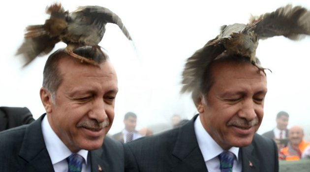 Cumhurbaşkanı'nın başına konu verdi
