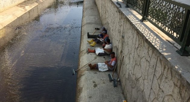 Dere Kenarında Yemek Molası