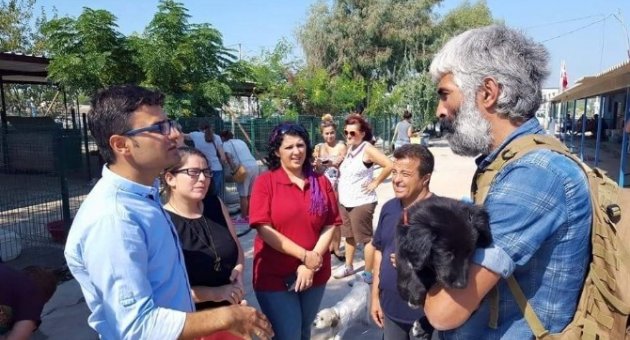 Didim’de Hayvanlar Günü Etkinliği