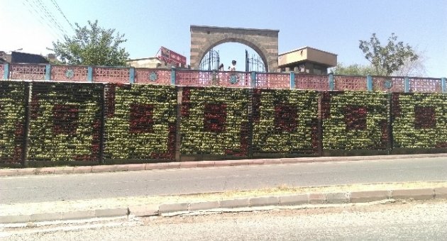 Dikey Bahçe Vatandaşların İlgi Odağı Oldu