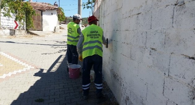Dingiller Ve Çobanhasan Renkleniyor