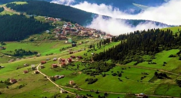 Doğu Karadeniz Bal Deposu