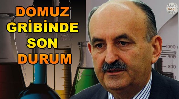 Domuz gribinde Türkiye'de son durum