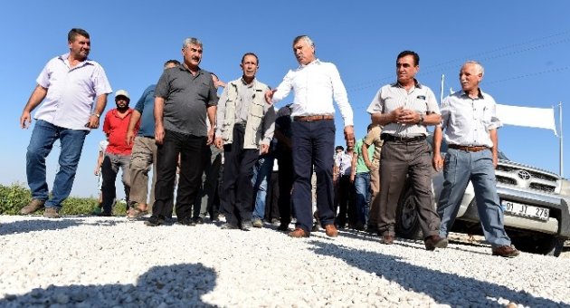Dörtağaç Mahallesi’nde Asfalt Sevinci