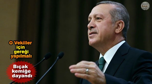 Erdoğan, 'O milletvekilleri için meclis ve yargı harekete geçmeli'