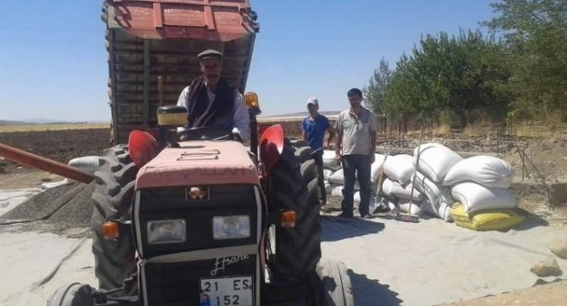 Ergani’de Ayçiçeği Alımları Başladı