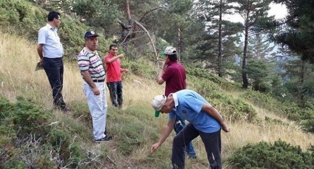 Erzurum Obm’de Silvikültür Uygulamaları Denetimi
