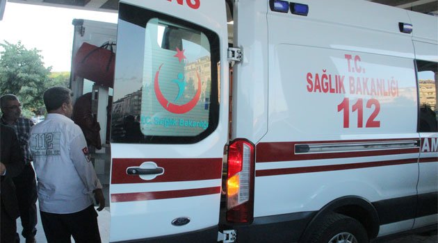 Fareyi vurmak isterken yengesini öldürdü