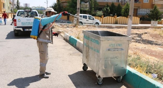 Haliliye Belediyesi’nde Haşere İle Etkili Mücadele