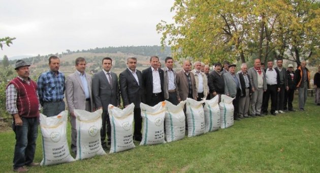 Hisarcık’ta 34 Çiftçiye Ücretsiz Macar Fiği Dağıtıldı