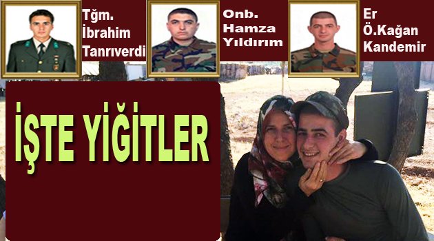 İşte analarının kuzuları