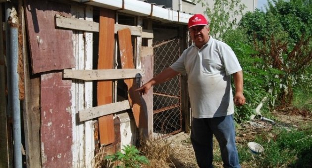 Kaybolan Köpeği İçin Suç Duyurusunda Bulundu