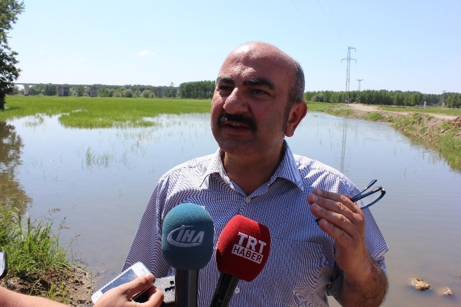 Komşudan 5 Yıl Aradan Sonra İlk Kez ’Sivrisinek’ Desteği