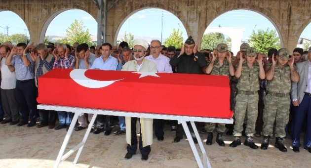 Kore Gazisi Törenle Toprağa Verildi