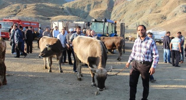 Kurbanlıklar Alana Pahalı Satana Ucuz