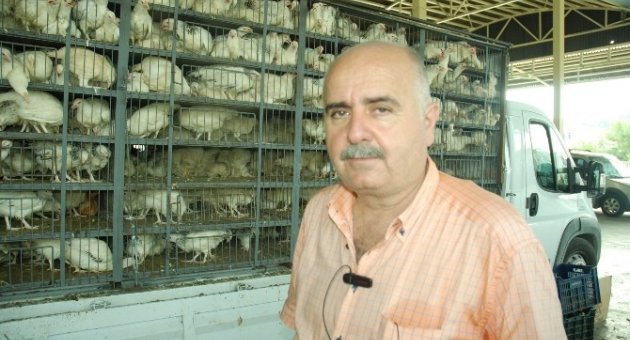 Manavgat Ziraat Odası 4 Bin Tane Tavuk Dağıttı